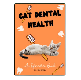 Cat Dental Health Guide