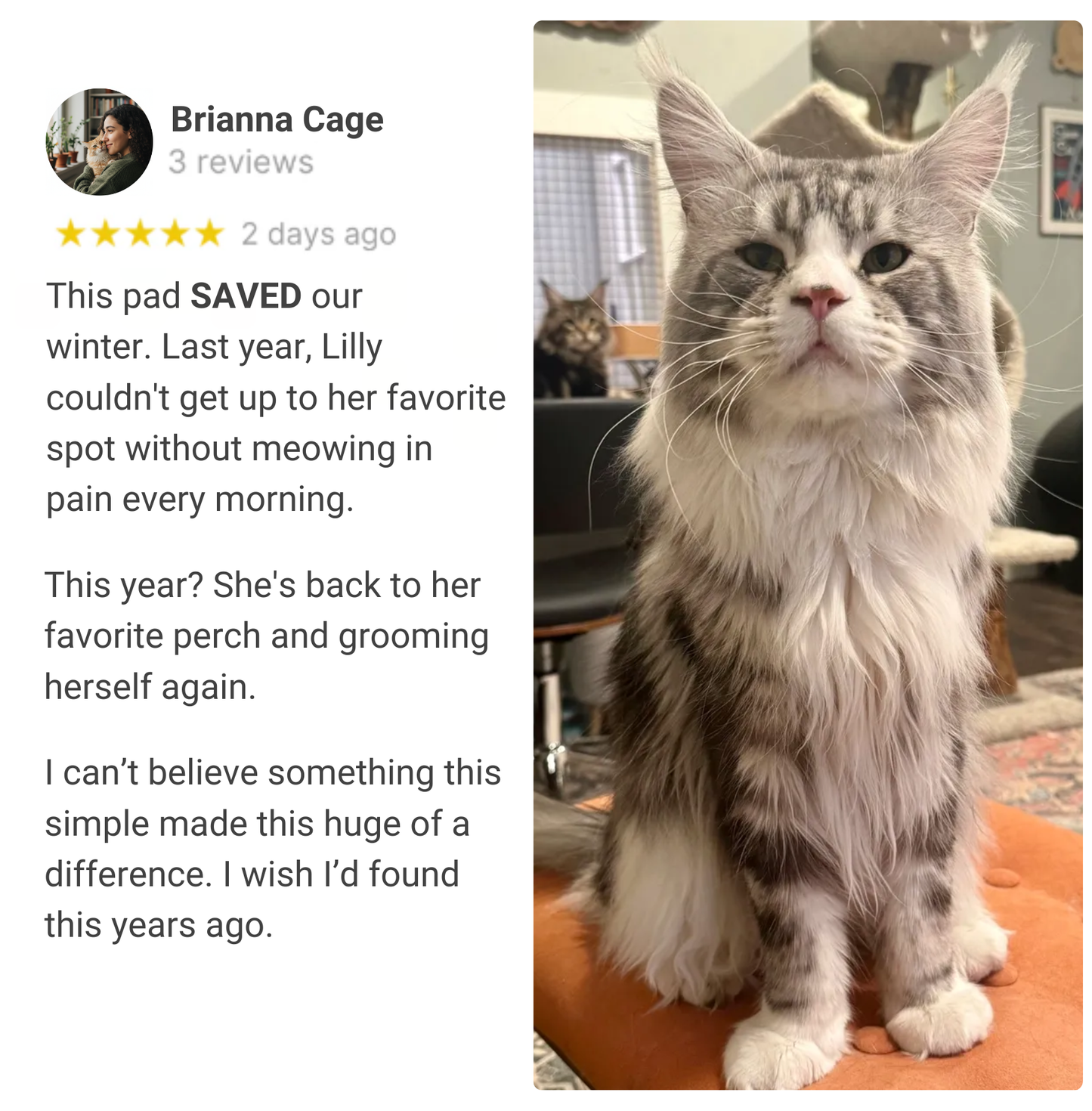 Thermal Joint Relief Pad