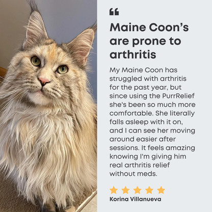PurrRelief