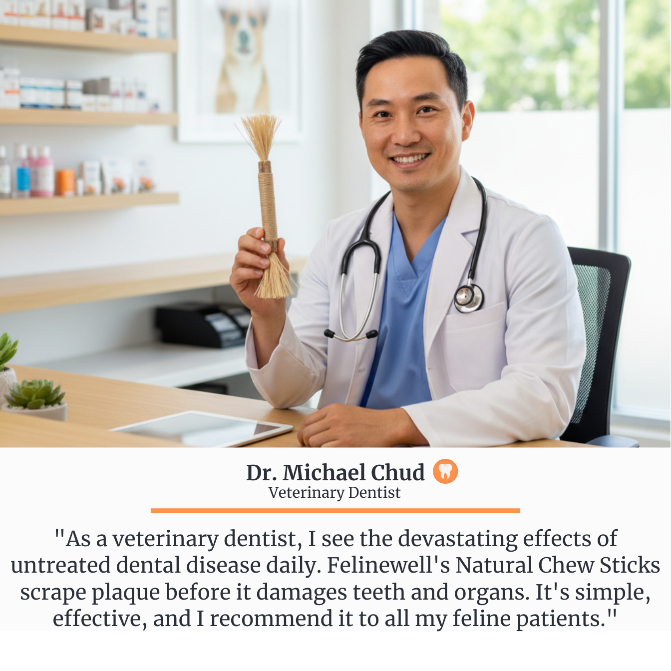 5 Silvervine Dental Chews