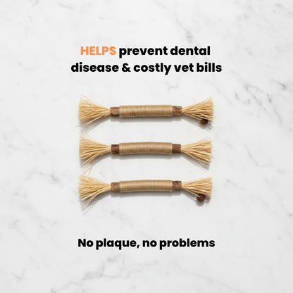 5 Silvervine Dental Chews