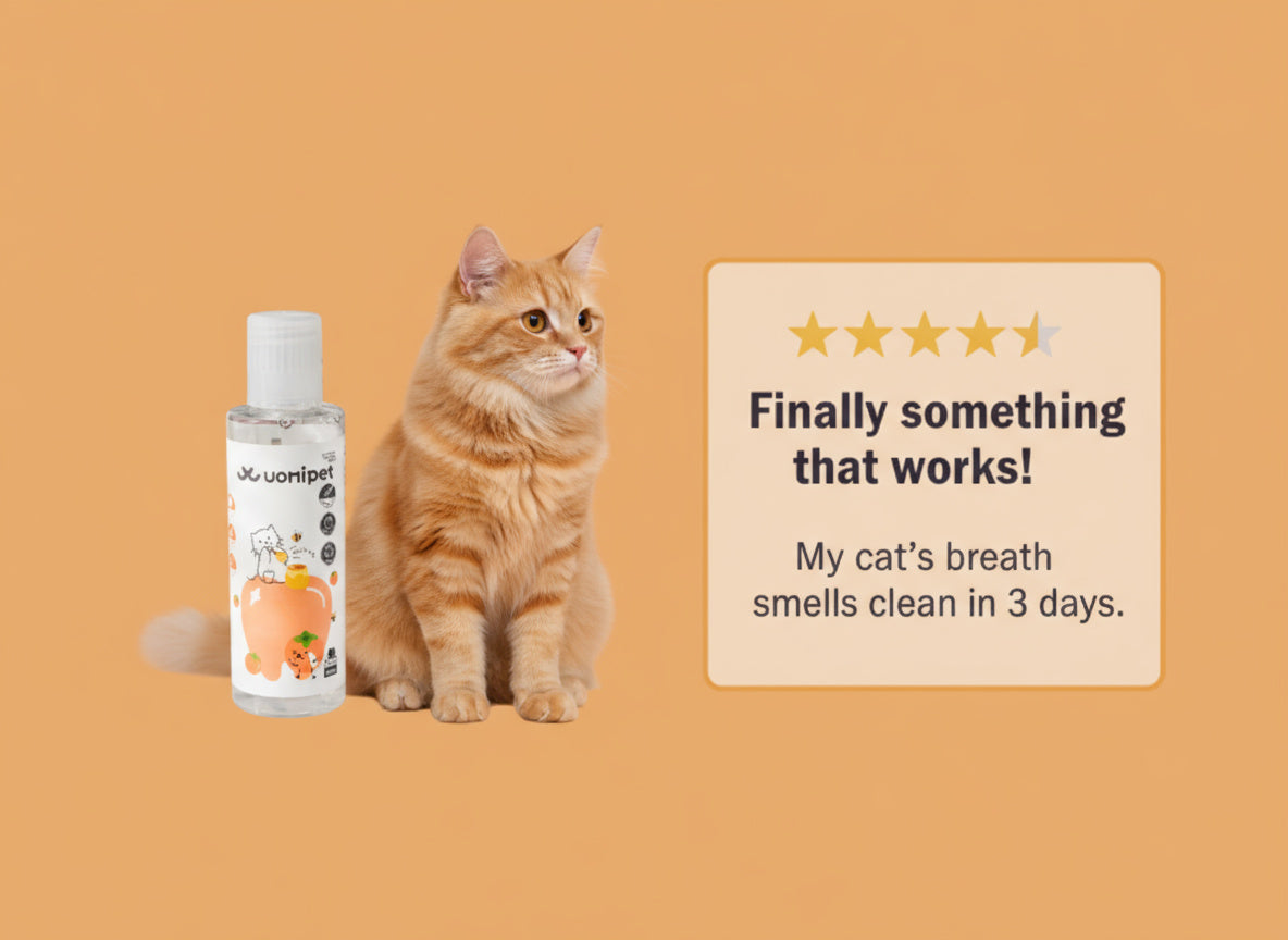Uomipet™ Cat Dental Water Additive