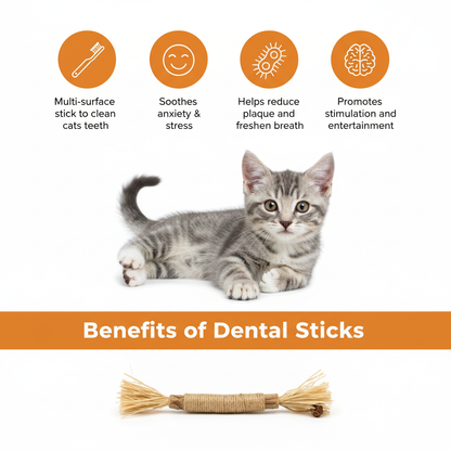 5 Silvervine Dental Chews