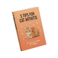 E-Book 5 Tips For Arthritis In Cats