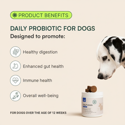 Daily Probiotic